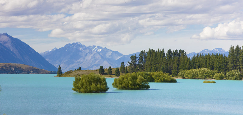 Lake Tekapo, New Zealand - Ed Freeman Fine Art