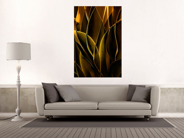 Cactus Abstraction 10A - Ed Freeman Fine Art