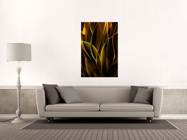 Cactus Abstraction 10A - Ed Freeman Fine Art