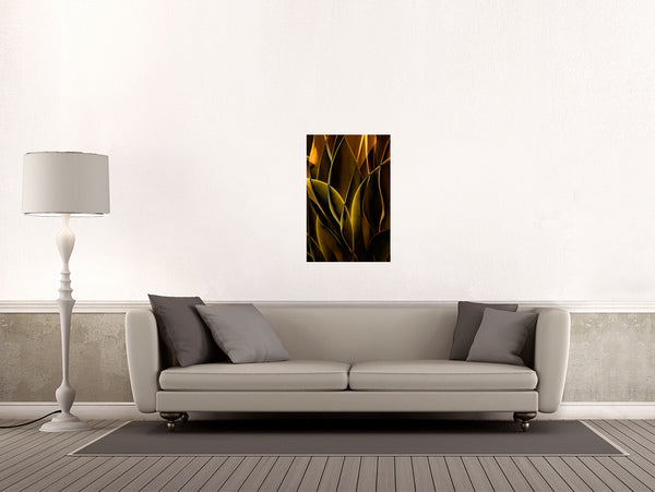 Cactus Abstraction 10A - Ed Freeman Fine Art