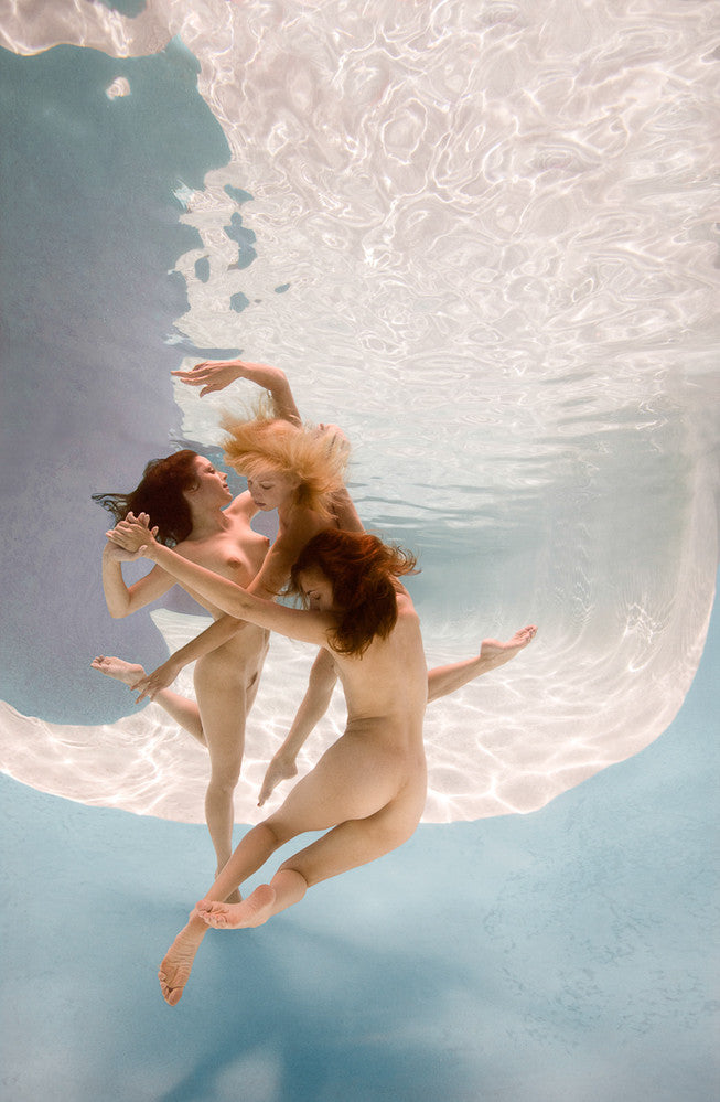Underwater Polyphony - Ed Freeman Fine Art